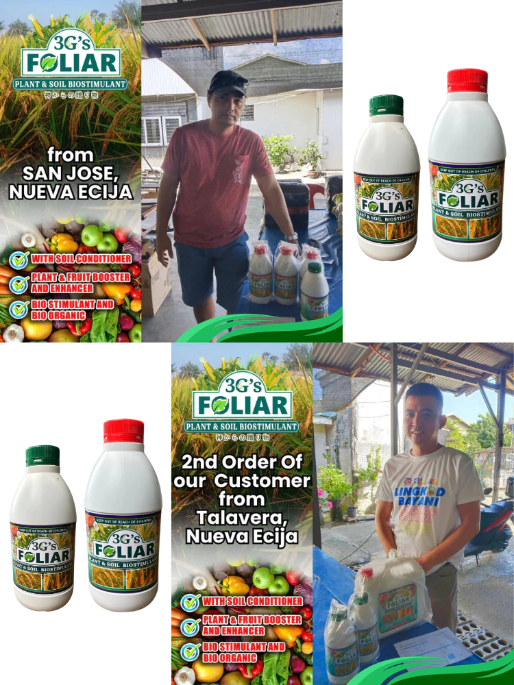  3Gs Japan Super Foliar Fertilizer
