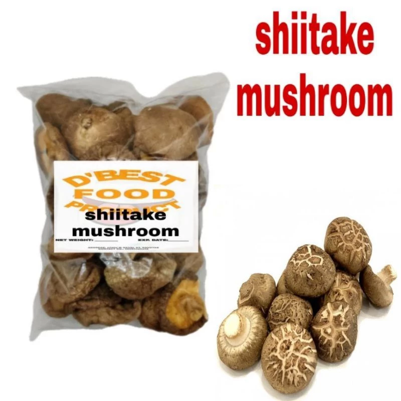shiitake mushroom