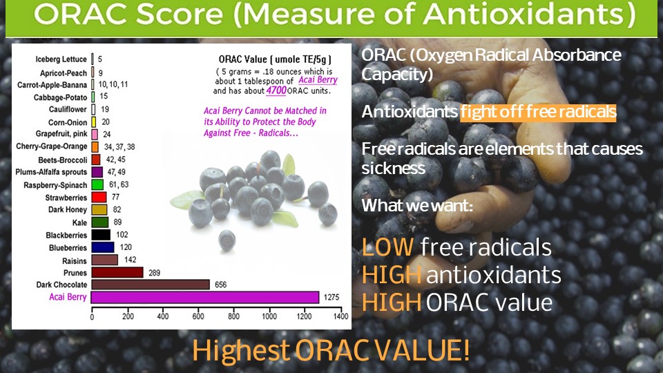 Acai Berry