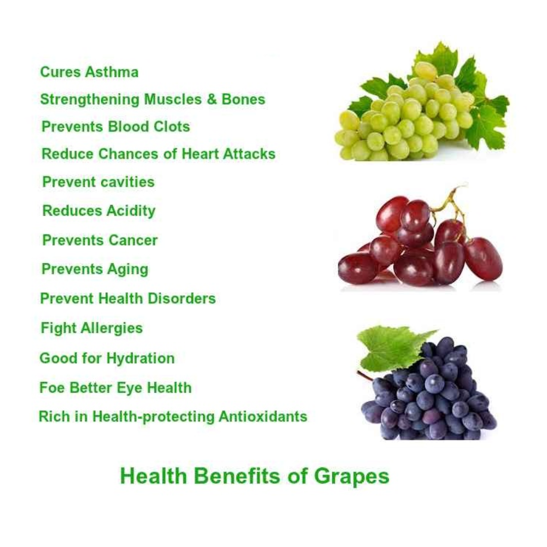 Powerlab Grape Seed Oil Extract - Image 6