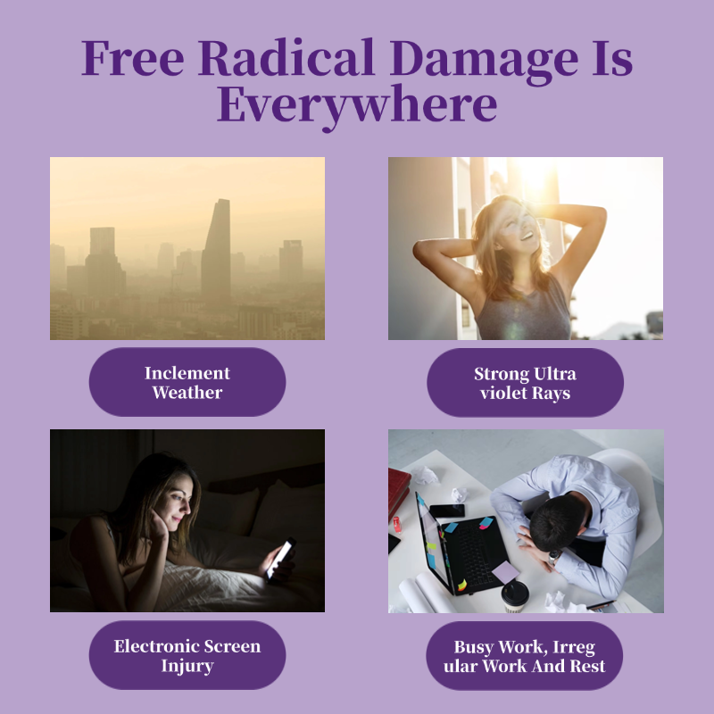 Grape Seed Extract, High Strength Grape Seed - Image 3