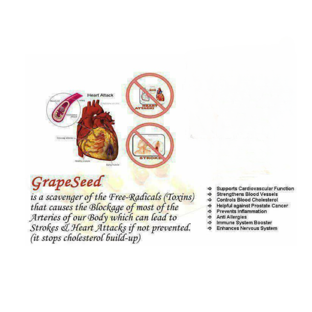Powerlab Grape Seed Oil Extract - Image 7