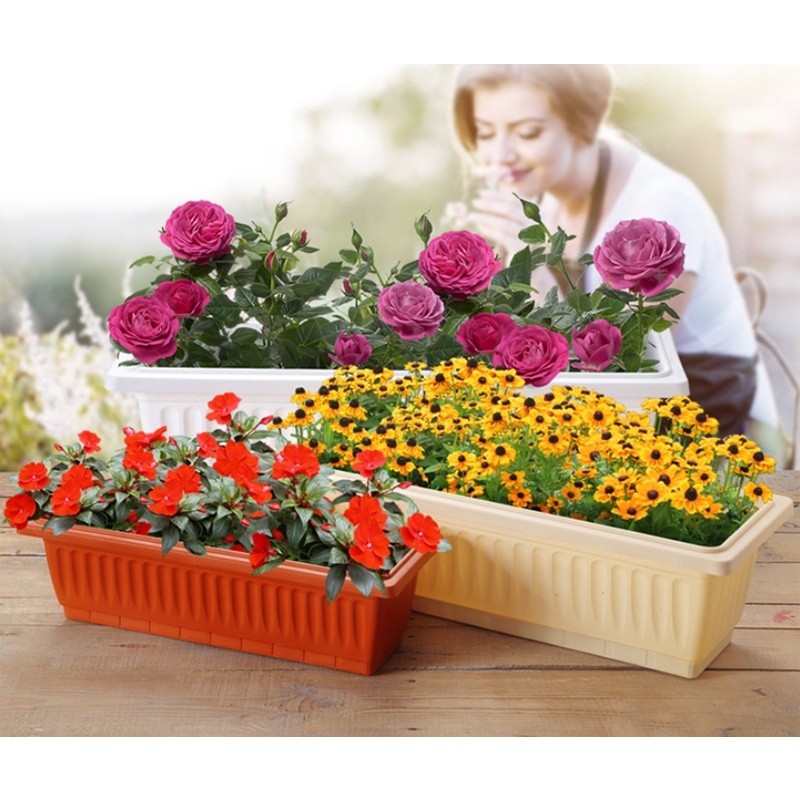 Rectangle Plastic Flower Planter (34cmx18cmx14cm)