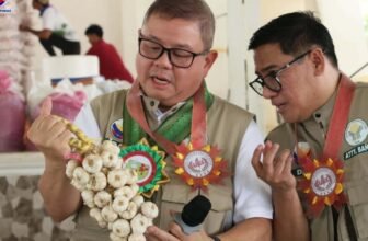 Lubang eyed as key garlic supplier; DA seeking ways to increase island's garlic output