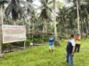 PCA rolls out expanded assistance programs to strengthen Palawan's coconut industry