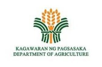 Transforming the Philippine food system through science, policy, and practice