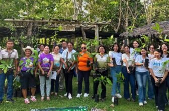 Bohol eyes planting of 1 million cacao trees in 10 years