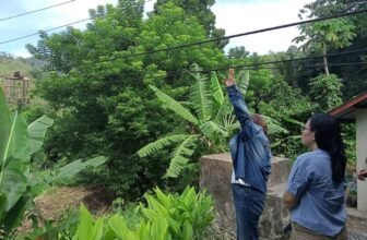 Cable car benefits upland Vizcaya upland farmers