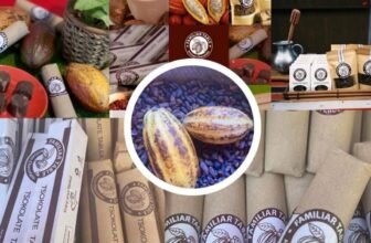 La Union pushes cacao expansion to boost chocolate industry