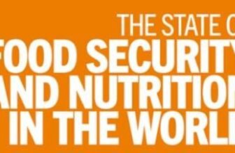Rising prices put healthy diets out of reach