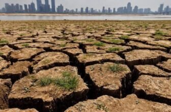House hearing reveals need for usable information for farmers