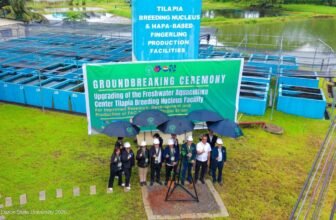 CLSU, DOST break ground on P20M tilapia breeding facility