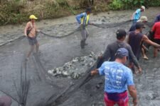 Fishpond operation ensures better tilapia harvest in Abra town