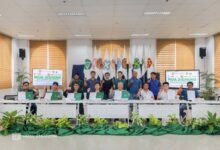 MMSU, agribusiness firms forge ties to raise Ilocos Norte corn yields
