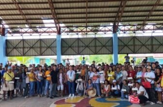 Aurora coconut farmers back Marcos' 100-million tree target