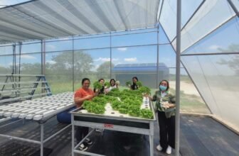 Urban agriculture takes root in Isabela