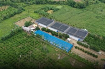 Vizcaya gets citrus nursery facility