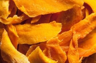 DOST eyes dried mango as food for Filipino astronauts