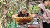 Bacnotan apiculture industry gets boost