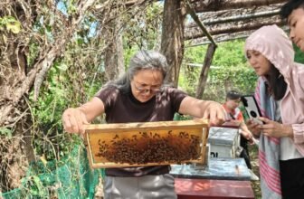 Bacnotan apiculture industry gets boost