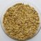 Barley Seeds for Microgreens and Sprouts
