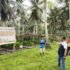 Transforming the Philippine food system through science, policy, and practice