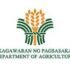 PCA rolls out expanded assistance programs to strengthen Palawan's coconut industry