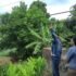 Transforming the Philippine food system through science, policy, and practice