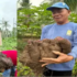 Nestlé supports DA push for PH coffee industry