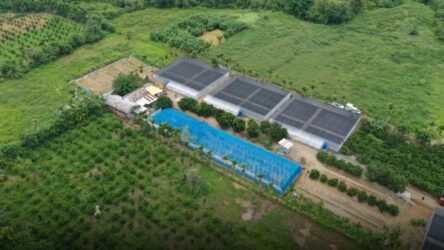 Vizcaya gets citrus nursery facility