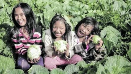 Feeding programs benefit small farmers          