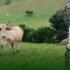 Resilience revolution with regenerative and resilient agriculture as the foundation