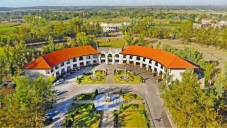 MMSU pushes improved forages for Ilocos Norte