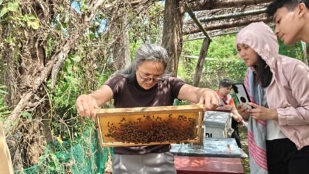 Bacnotan apiculture industry gets boost