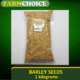 Barley Seeds for Microgreens and Sprouts