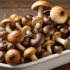 Why Mushrooms Are Great Meat Substitutes