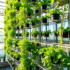 Why Do Plants Thrive In Vertical Farms?