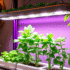 How Vertical Farming Works