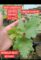 Red Cardinal Grape Seedlings