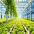 Common Mistakes To Avoid In Vertical Farming