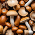 Common Mushroom Mistakes To Avoid When Cooking