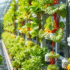 Top 5 Benefits Of Growing Food Vertically