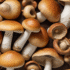 Simple Tips For Cleaning Mushrooms Before Cooking