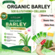 FITGUM Organic Barley Grass Powder