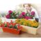 Rectangle Plastic Flower Planter (34cmx18cmx14cm)