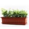 Rectangle Plastic Flower Planter (34cmx18cmx14cm)