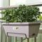 Planting vegetable basin rectangular long flower pot